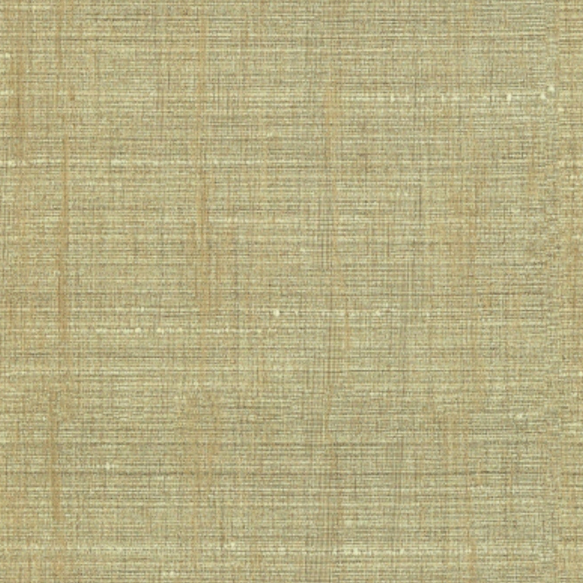Papini Curtain Fabrics Tangolin Curtain Collection 300 cm (7821725761625)