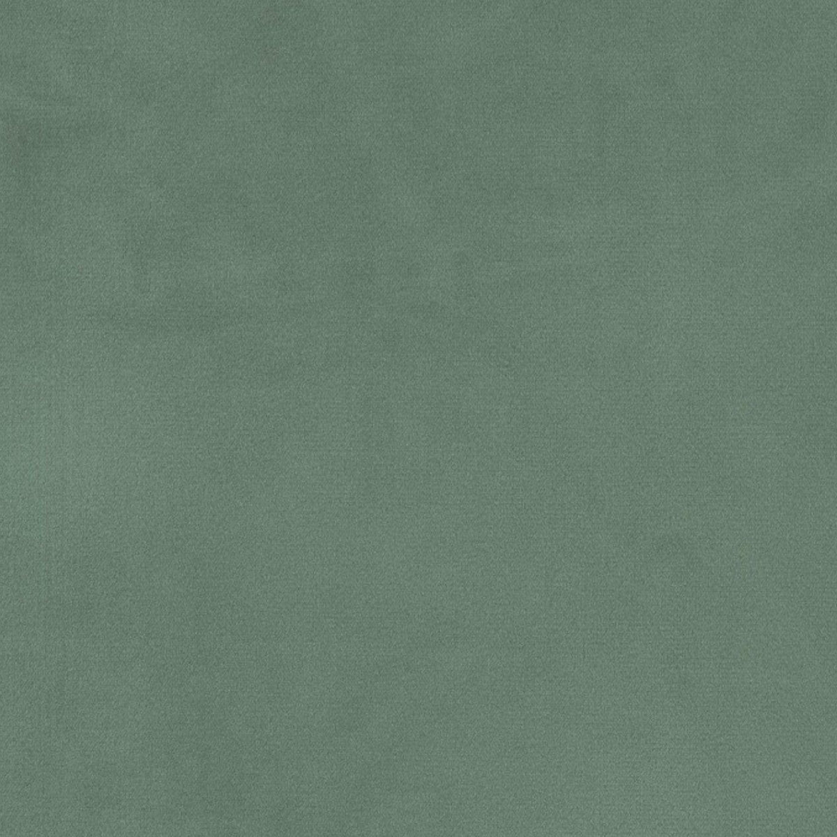 Papini Fluxx Curtain 280 cm Upholstery Fluxx Velvet Collection 280 cm