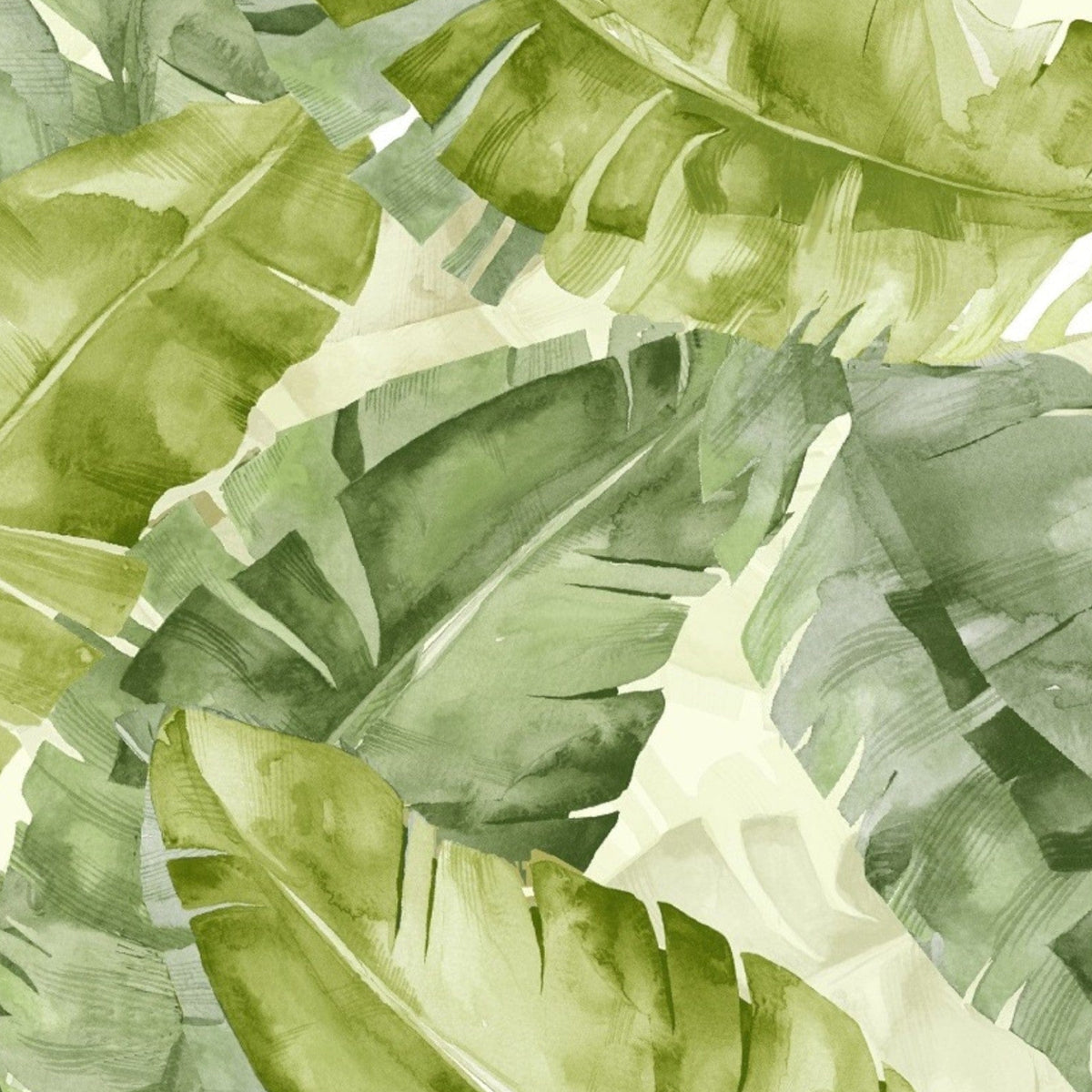 Papini Outdoor Canvas Appletini Upholstery Lost In Plantation Outdoor KVS001 Collection 160 cm (7817666953305)