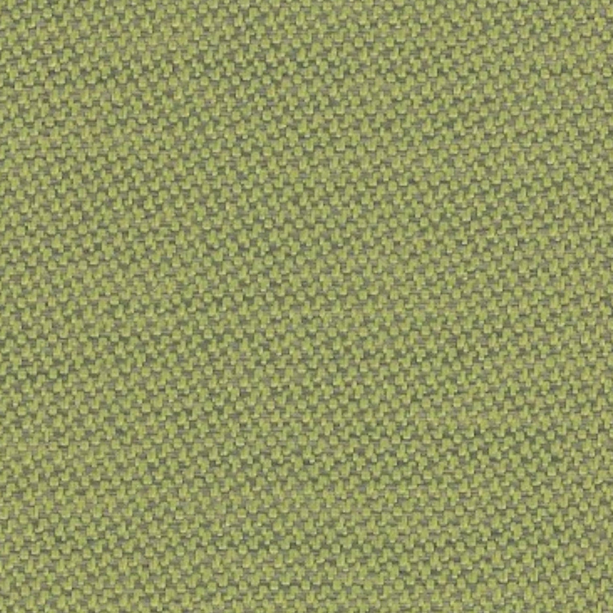 Papini Outdoor Canvas Lichen Upholstery Buffa Outdoor KIN001 Collection 140 cm (7817671311449)