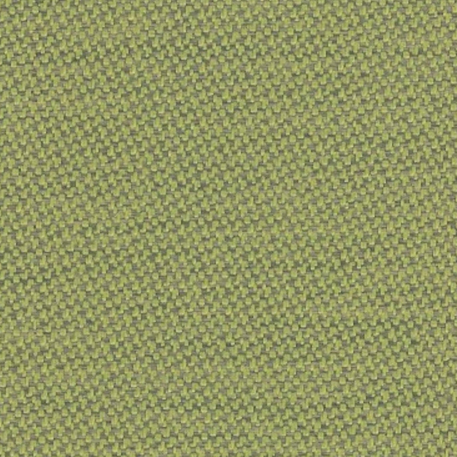 Papini Outdoor Canvas Lichen Upholstery Buffa Outdoor KIN001 Collection 140 cm (7817671311449)