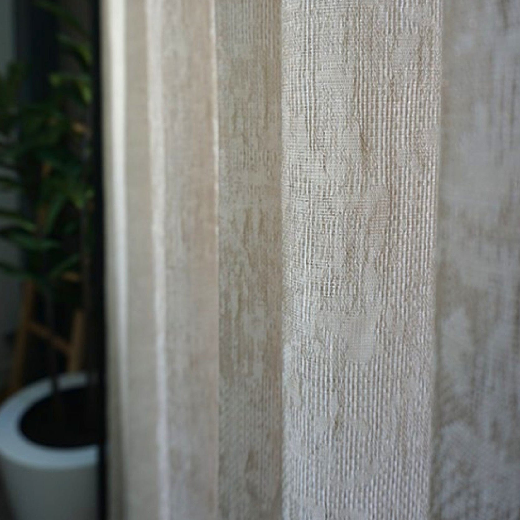 Papini SHEER VOILE Fabric Sheer Esquel Collection 280 cm