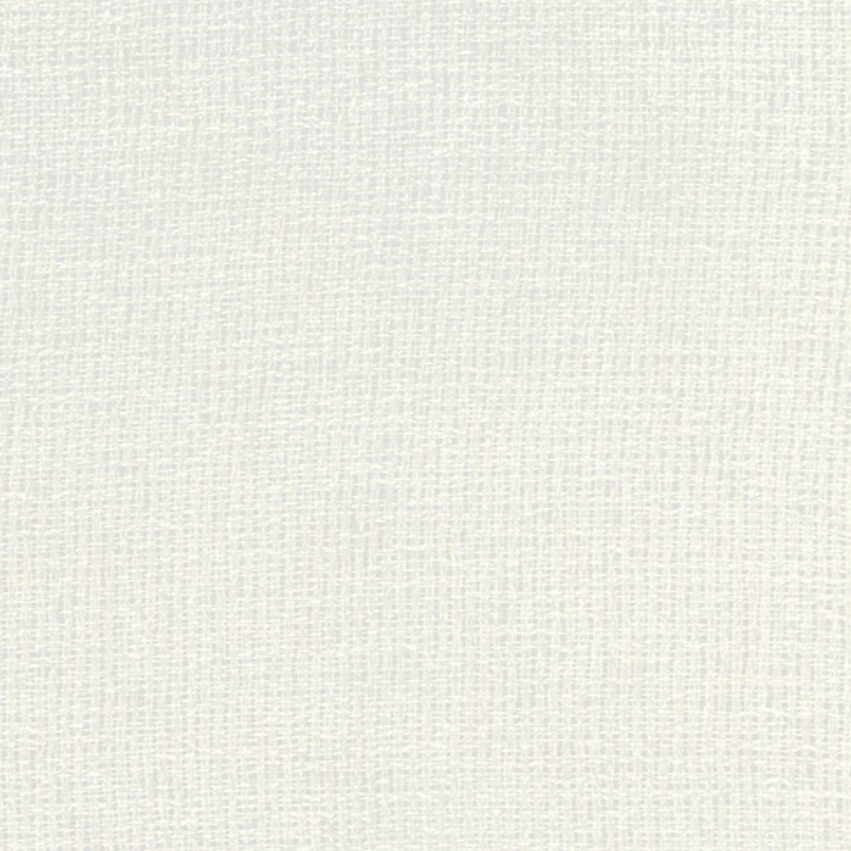 Papini SHEER VOILE Oyster Fabric Sheer Dolce Collection 300 cm