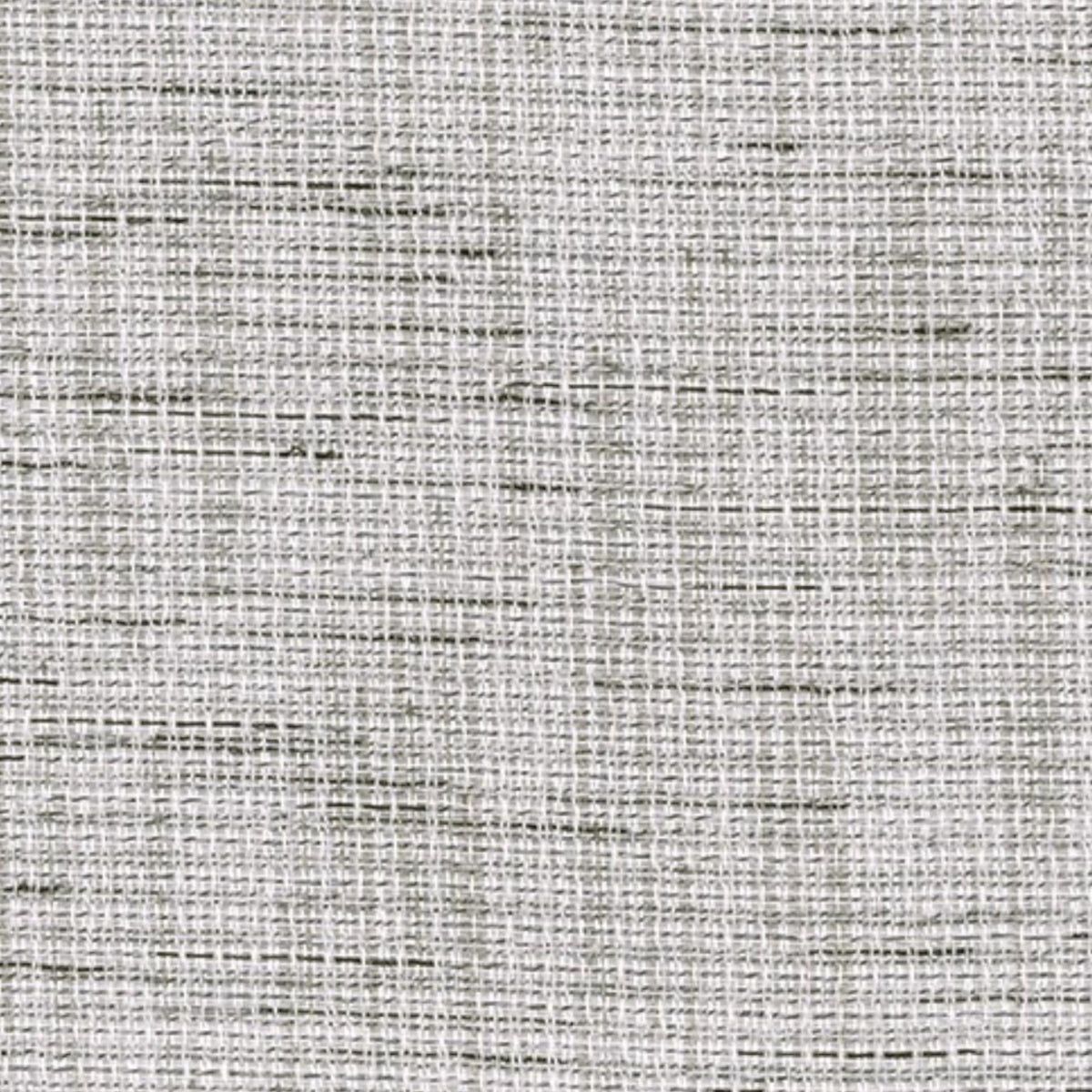 Papini SHEER VOILE Shale Fabric Sheer Savior Collection 300 cm