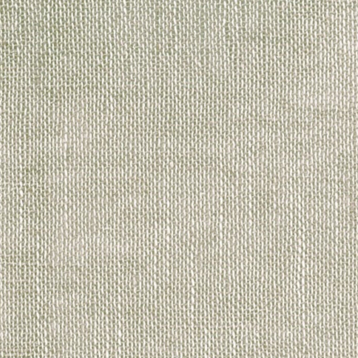Papini SHEER VOILE Straw Fabric Sheer Arosa Collection 300 cm
