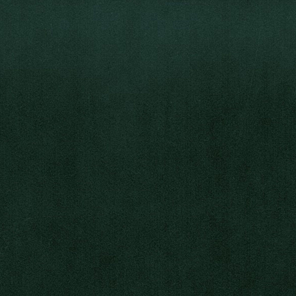 Papini Upholstery Fabric Emerald Upholstery Fabric Plush Collection 140 cm