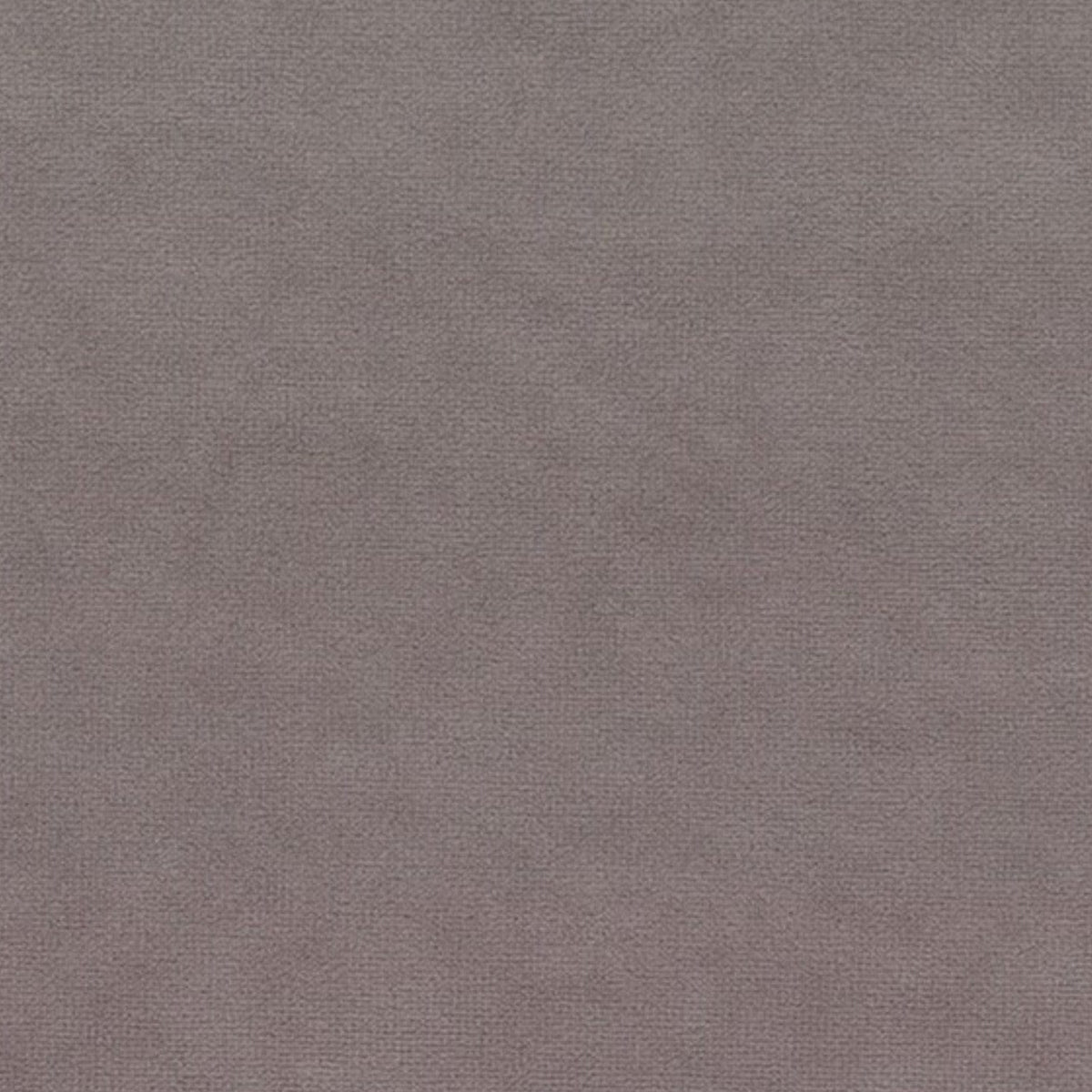 Papini Upholstery Fabric Putty Upholstery Fabric Plush Collection 140 cm