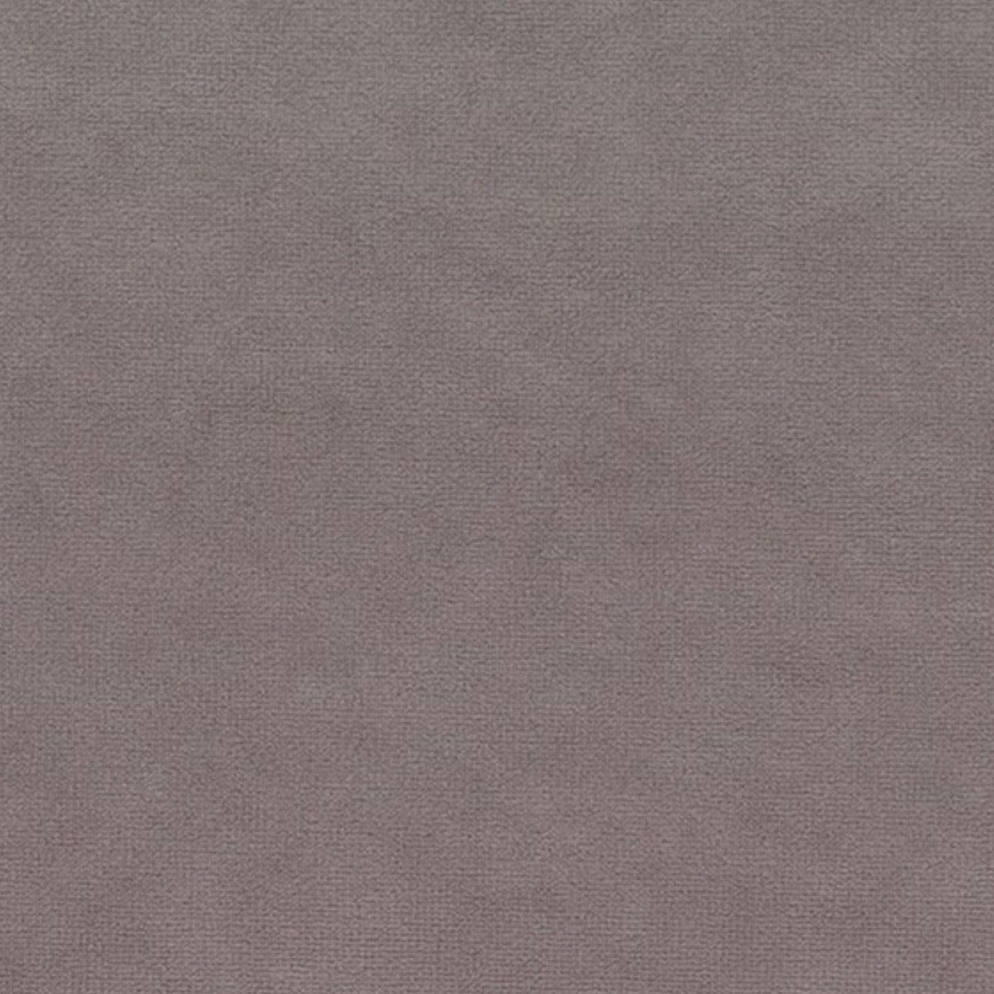 Papini Upholstery Fabric Putty Upholstery Fabric Plush Collection 140 cm