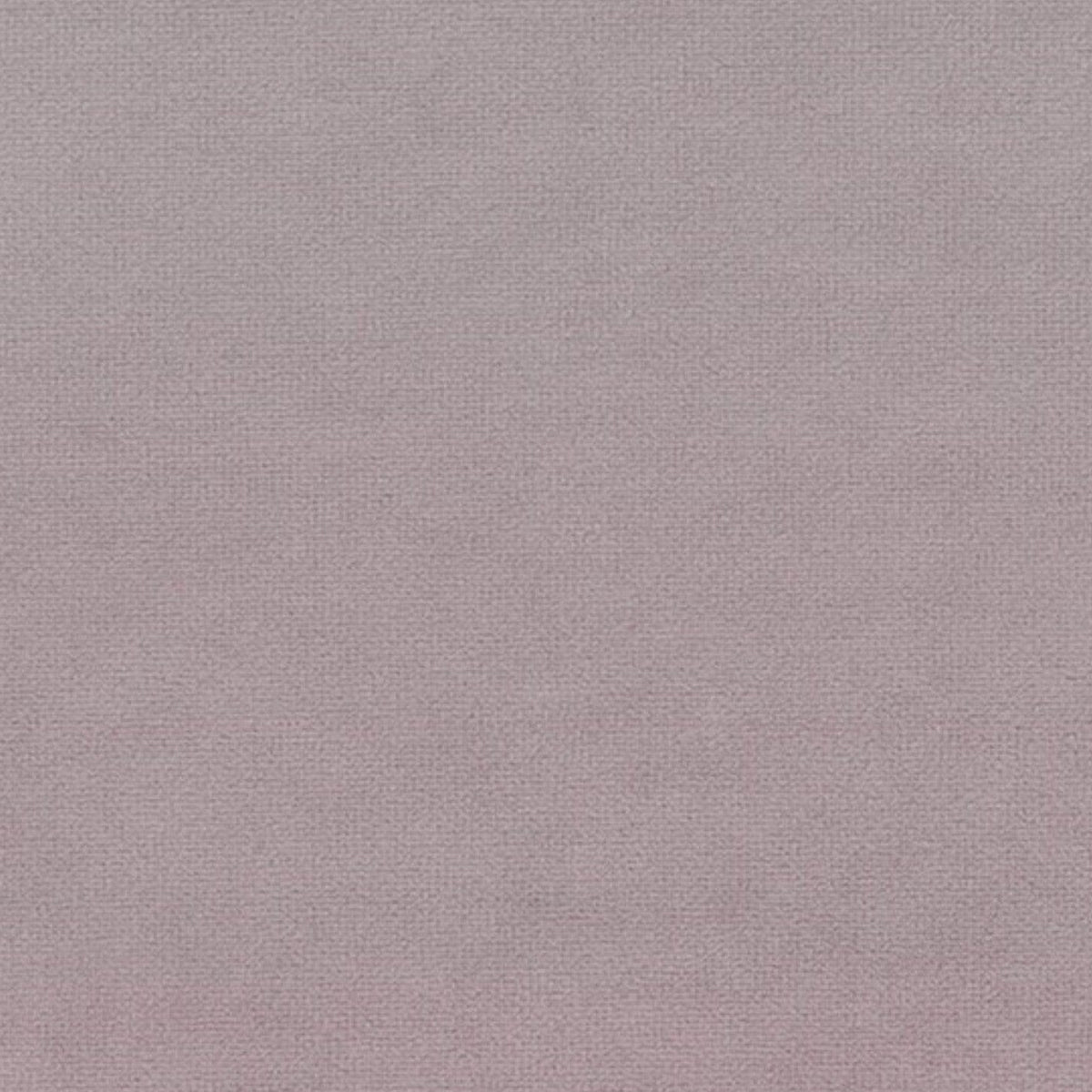 Papini Upholstery Fabric Sand Upholstery Fabric Plush Collection 140 cm