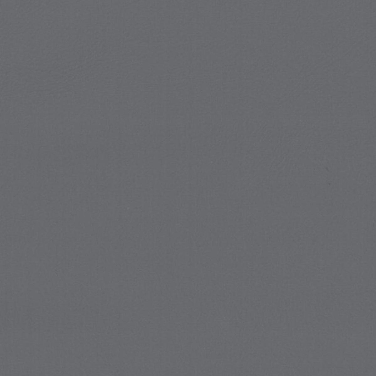 Papini Upholstery Fabric Seal Upholstery Leather Look Fabric Delta 140 cm