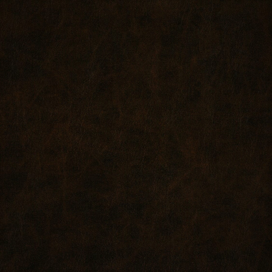 PAPINI Vinyl Regent Upholstery Arabica ITP008C (7512830574681)