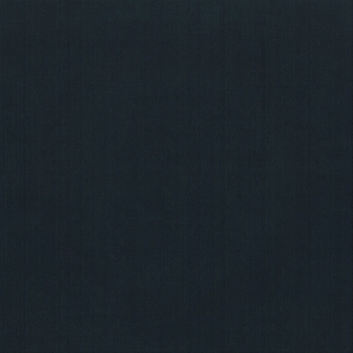 PAPINI Vinyl Vegan Upholstery Oxford ITP001L (7512830115929)