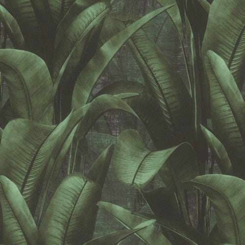 Papini Wallpaper Manilla Night Garden Wallpaper Roll 0.53m x 10.0m