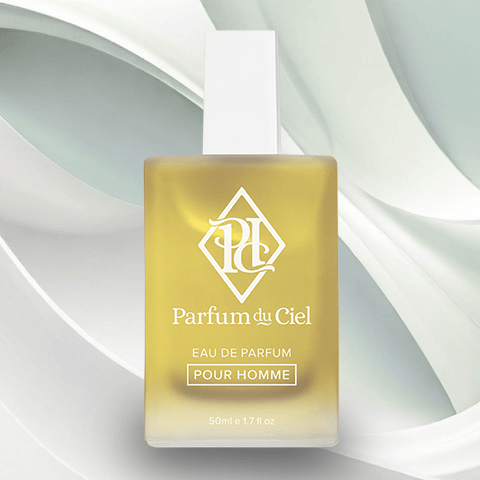 Parfum du Ciel Perfume Parfum du Ciel Men's 212 VIP 50ml M5052