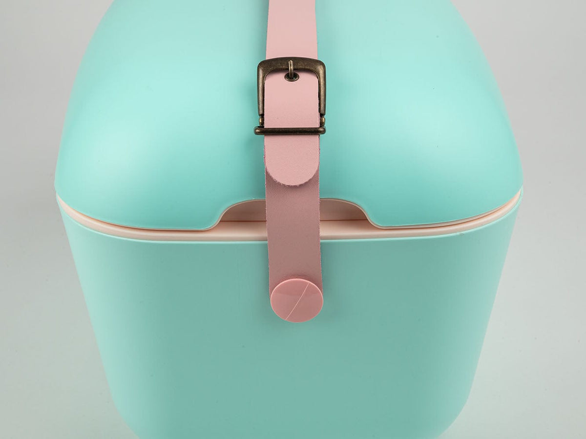Polarbox Cooler Box Polarbox Classic Green And Pink Strap 20 Liter 1-9250 10000