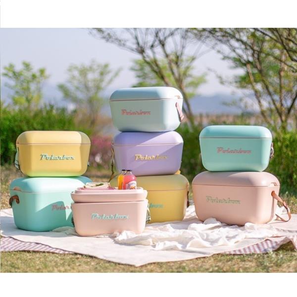 Polarbox Cooler Box Polarbox Classic Lime And Pink Strap 20 Liter 9377 10035