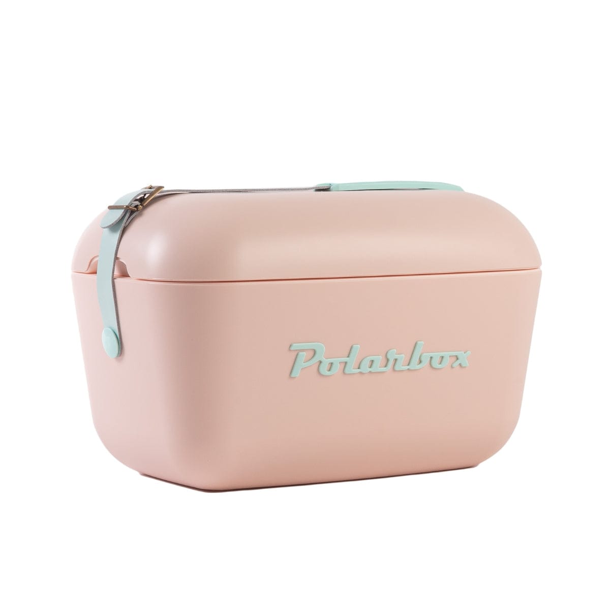 Polarbox Cooler Box Polarbox Classic Pink And Blue Strap 20 Liter 9262 10003