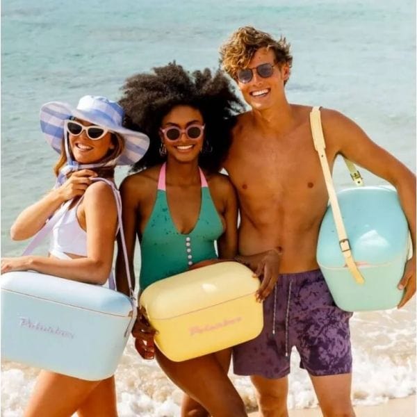 Polarbox Cooler Box Polarbox Classic Sky Blue And Pink 20 Liter 1-9258 10005
