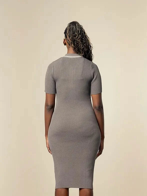 Polo Dress Polo Womens Payton Short Sleeve Knitted Golfer Dress