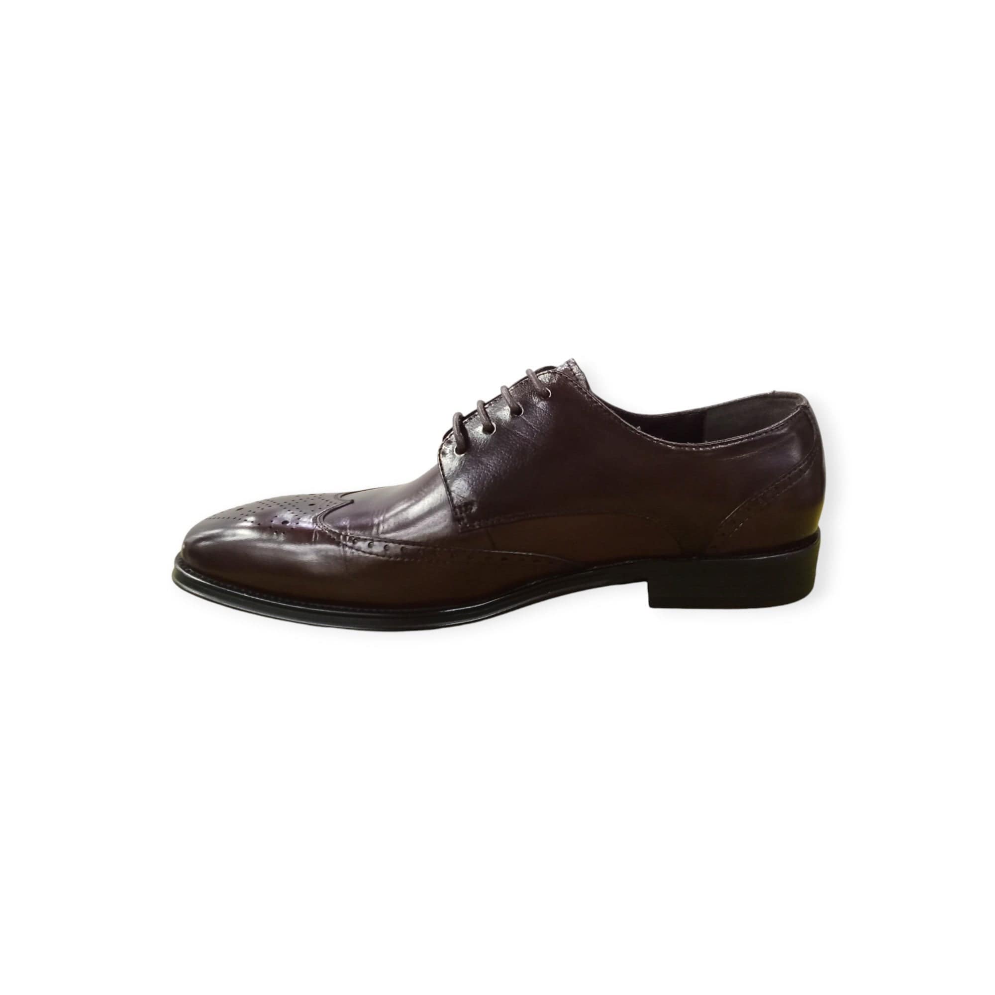 Polo Formal Shoes Polo Men's Wingcap Lace Up Brown (7803678752857)