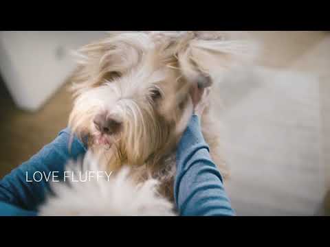 Bosch Rechargeable Vacuum Cleaner Unlimited 7 ProAnimal Red BCS711PET