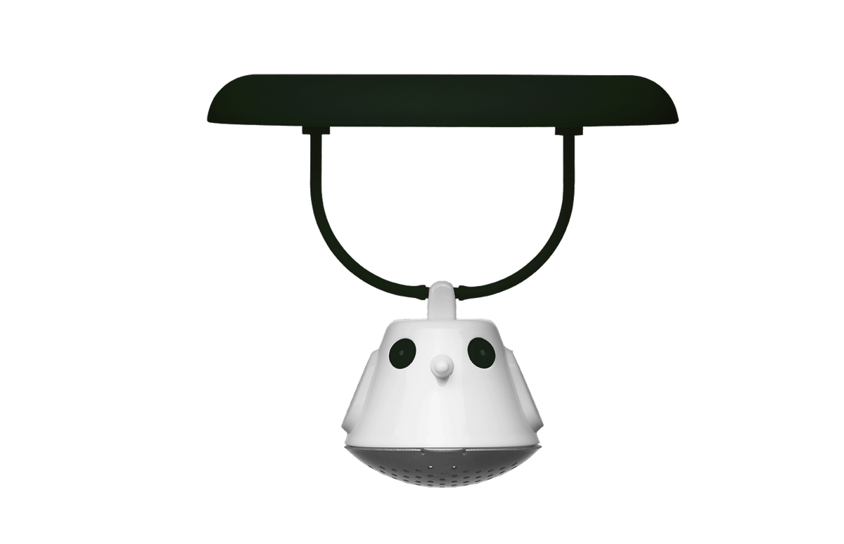 QDO Double-walled glass QDO Birdie Swing Black Infuser (7287207755865)