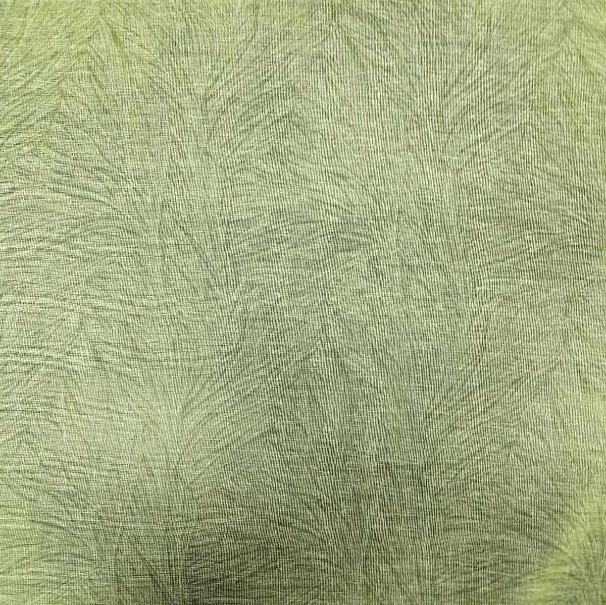 REACORD SHEER VOILE Fabric Leaves Sheer Olive 280 cm
