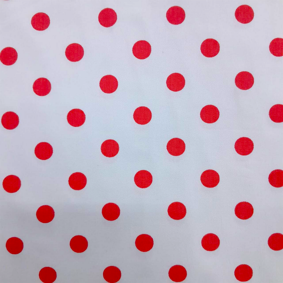 Fabric 100%Printed Cotton Canvas Polka Dots 140 cm.