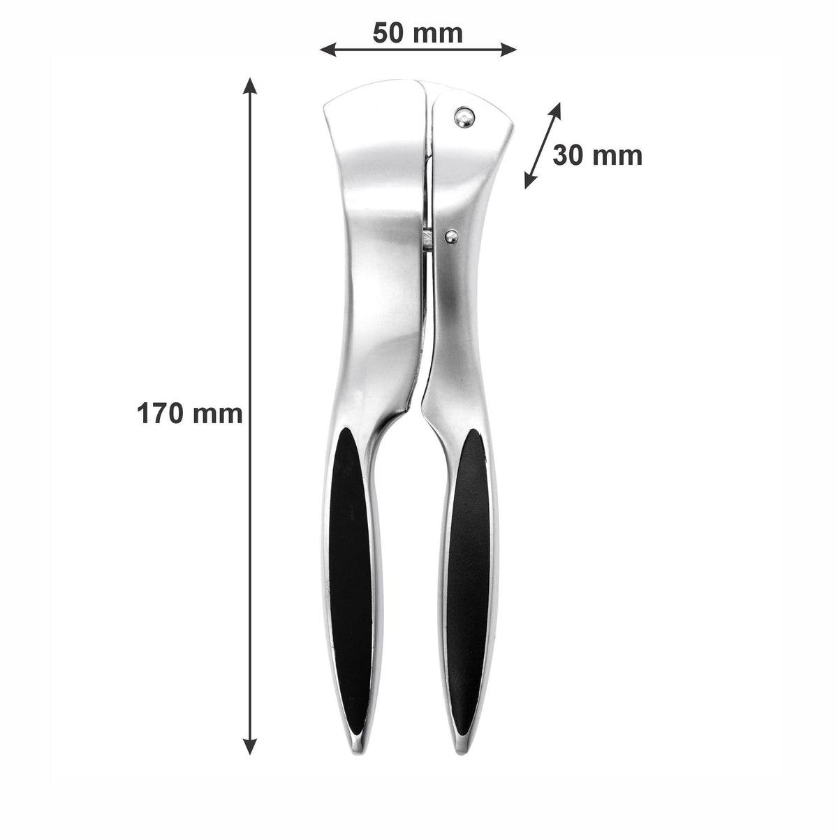 Regent Garlic Press Regent Kitchen Deluxe Garlic Press, 170mm 21224