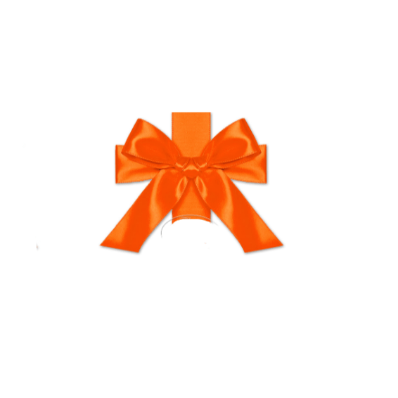 RIBBON COLLECTION Habby Pumkin Satin Ribbon 15 mm (7750152978521)