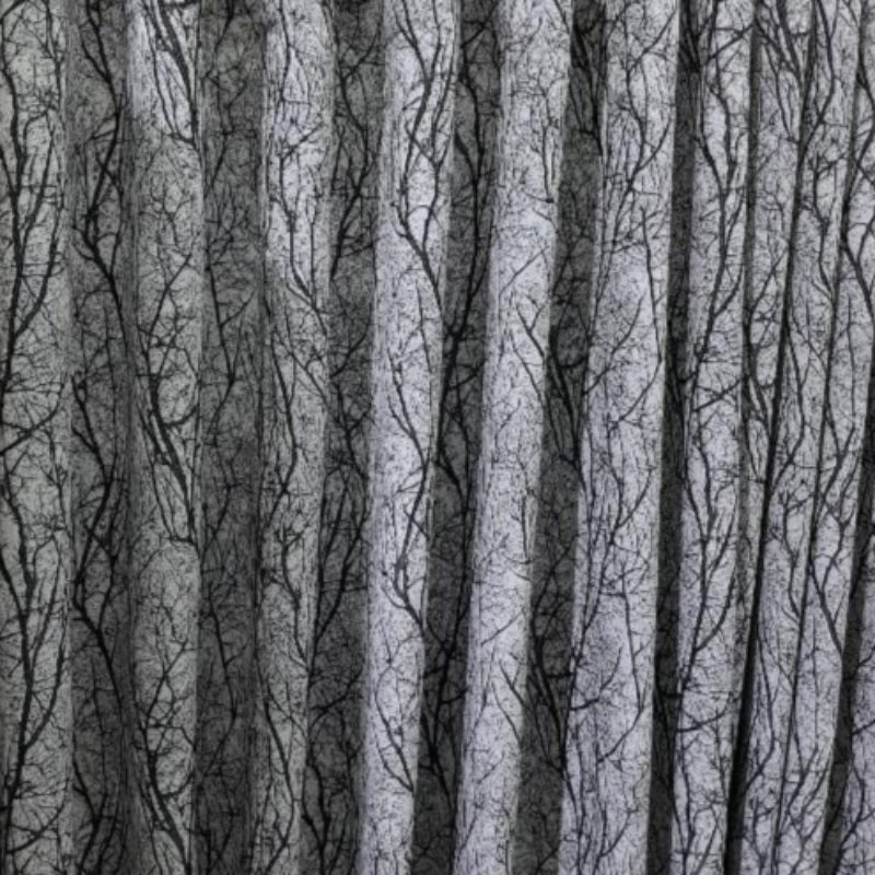 RIVER FABRICS Curtain Fabrics Curtain Kitara Collection 280 cm (7786338517081)