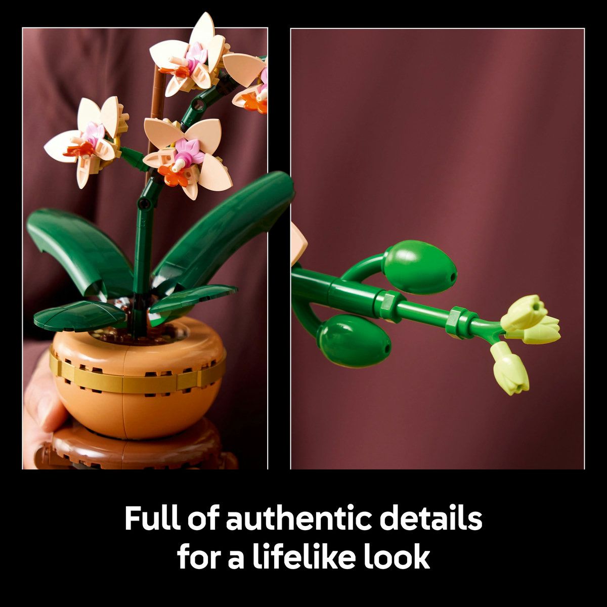 LEGO® Botanicals Mini Orchid Plant Gift 10343 - MHC World