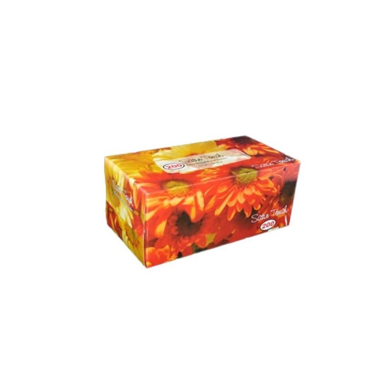 Satin Touch Facial Tissue Satin Touch 2 Ply Facial Tissue 200’s White (7824939155545)