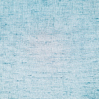 Dior Sheer Fabric 300 cm