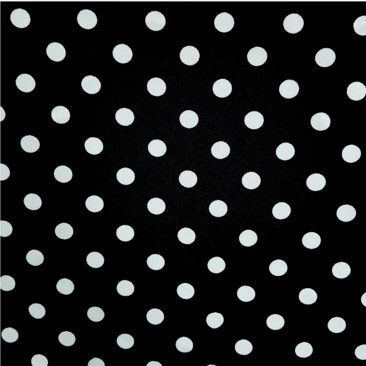 Printed Mini Matt Small Dot Black 140 cm