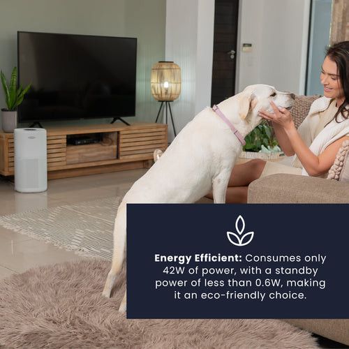 SOLENCO Air Purifier Solenco 803 Air Purifier Thuza SOL803AP