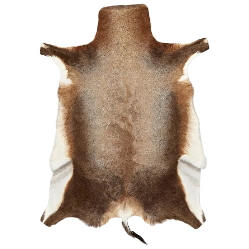 SPRINGBOX rugs Blesbok Hide A Grade