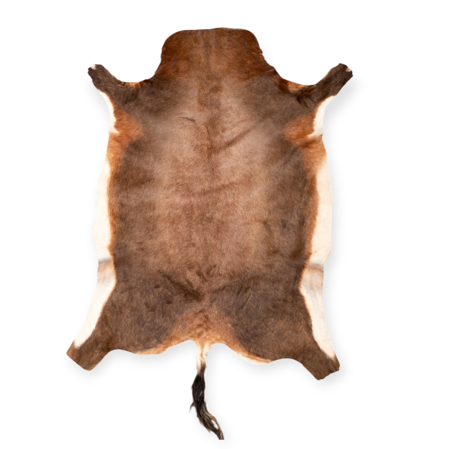SPRINGBOX rugs Blesbok Hide A Grade