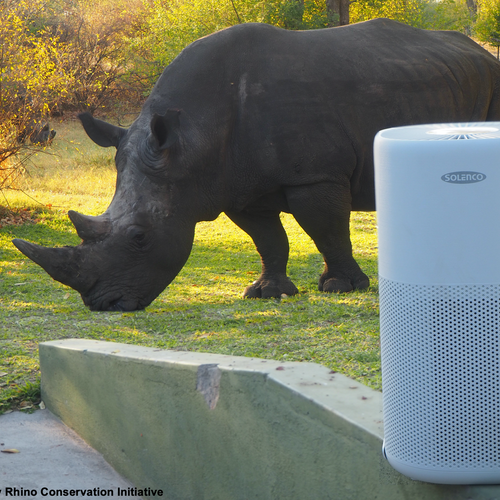 Solenco 803 Air Purifier Thuza SOL803AP