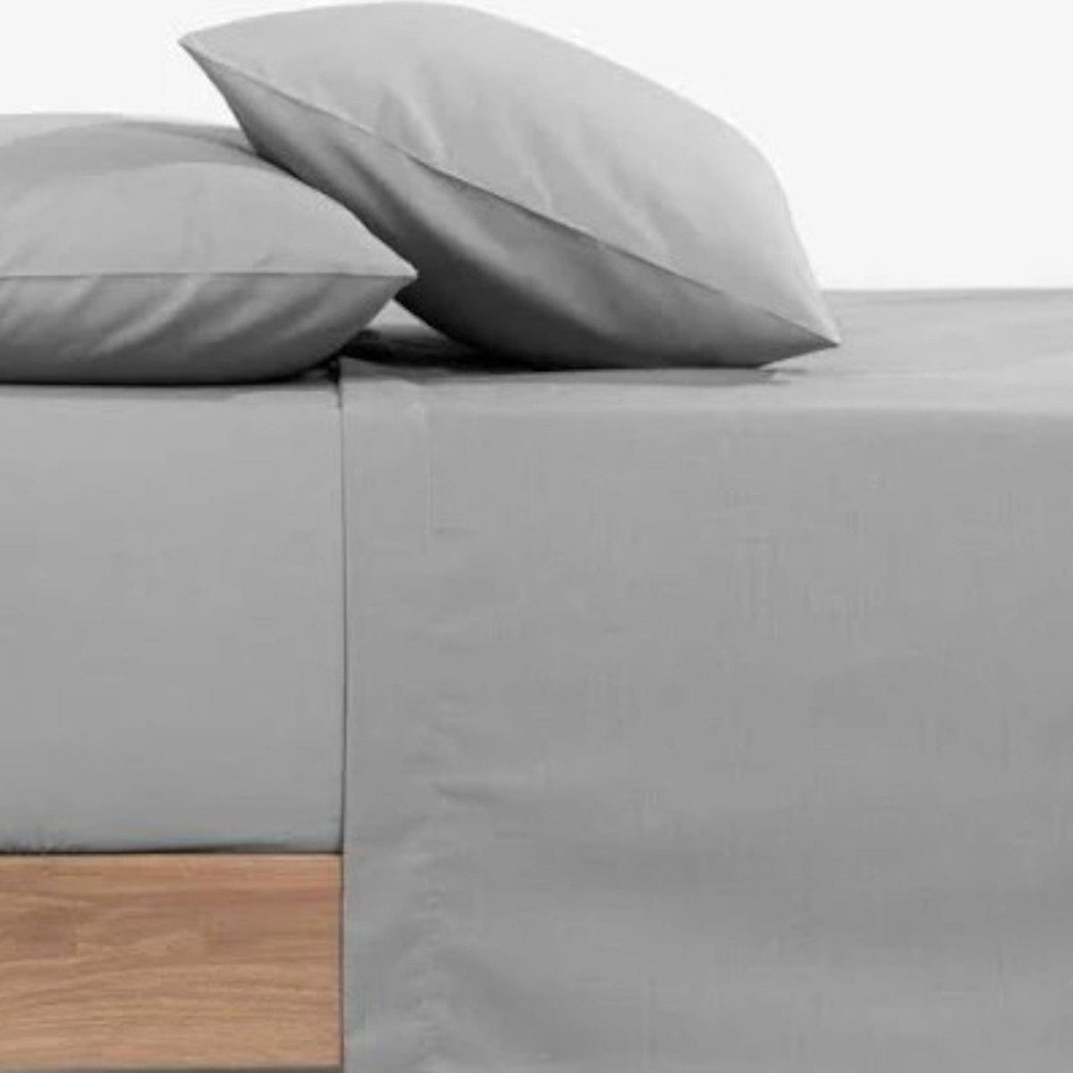 Stuard Graham Sheeting Fabrics Sheeting Fabric Expression Splash 137 cm