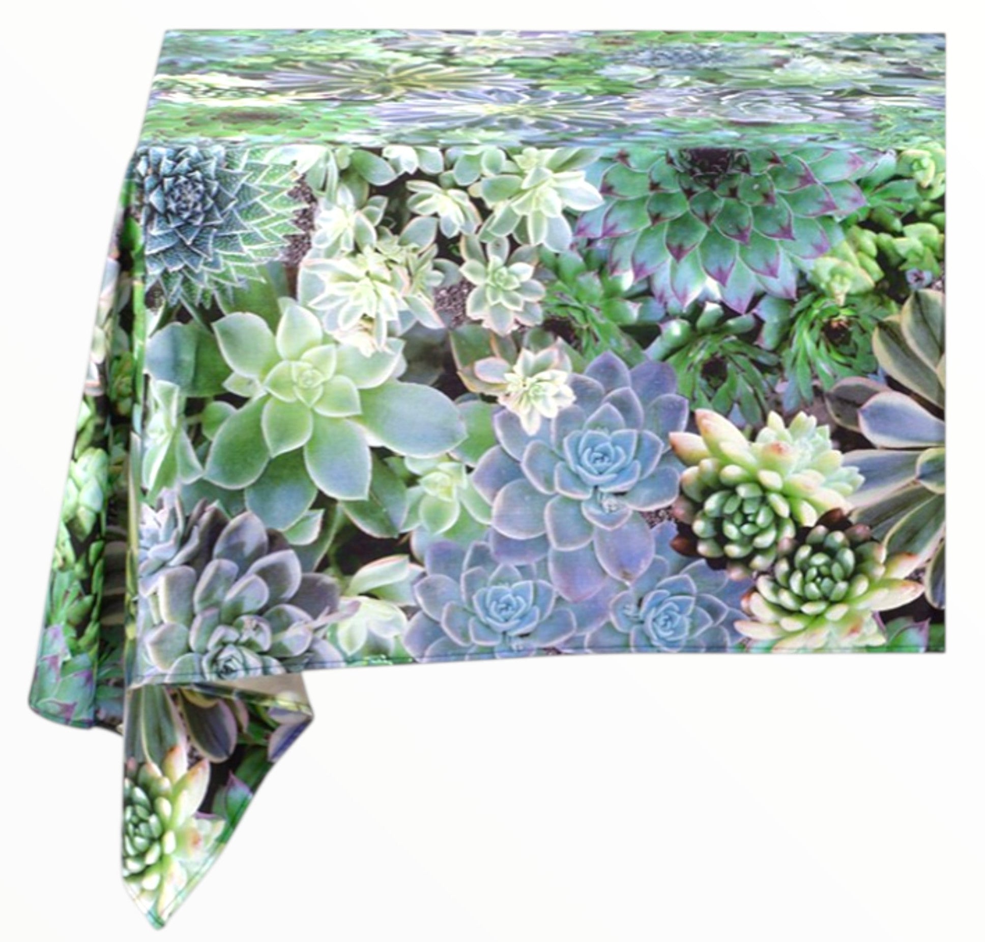 100% Cotton Fabric Succulents Floral Blue 140 cm