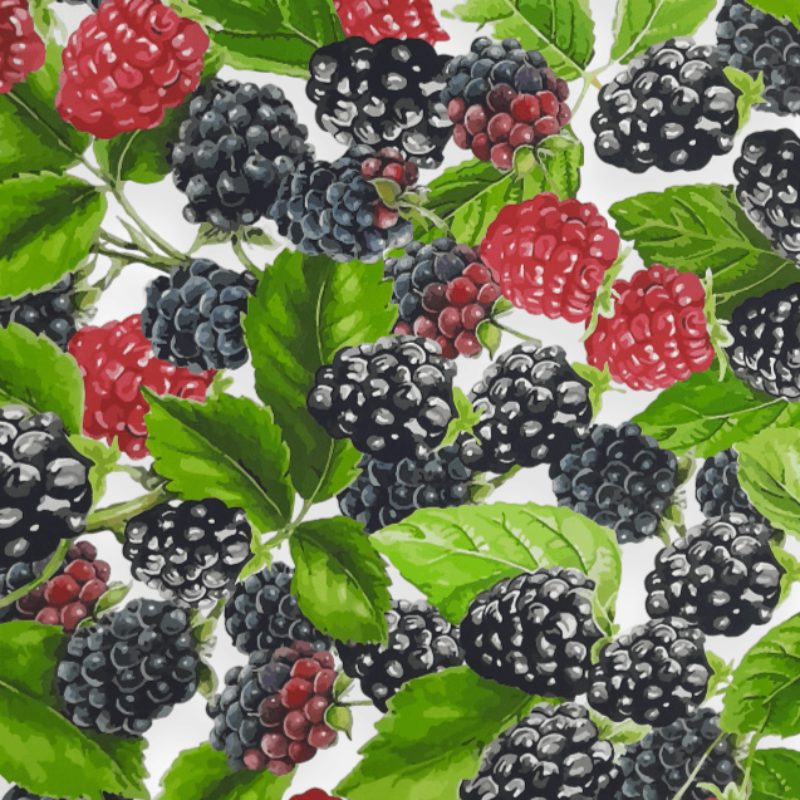Sugar Textiles Curtaining Fabric Sugar Textiles Blackberry White (7296716013657)
