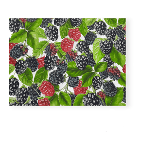 Sugar Textiles Curtaining Fabric Sugar Textiles Blackberry White (7296716013657)