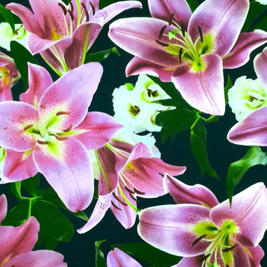 Sugar Textiles Printed Fabric Fabric Printed Star Gazers Floral Black 140 cm