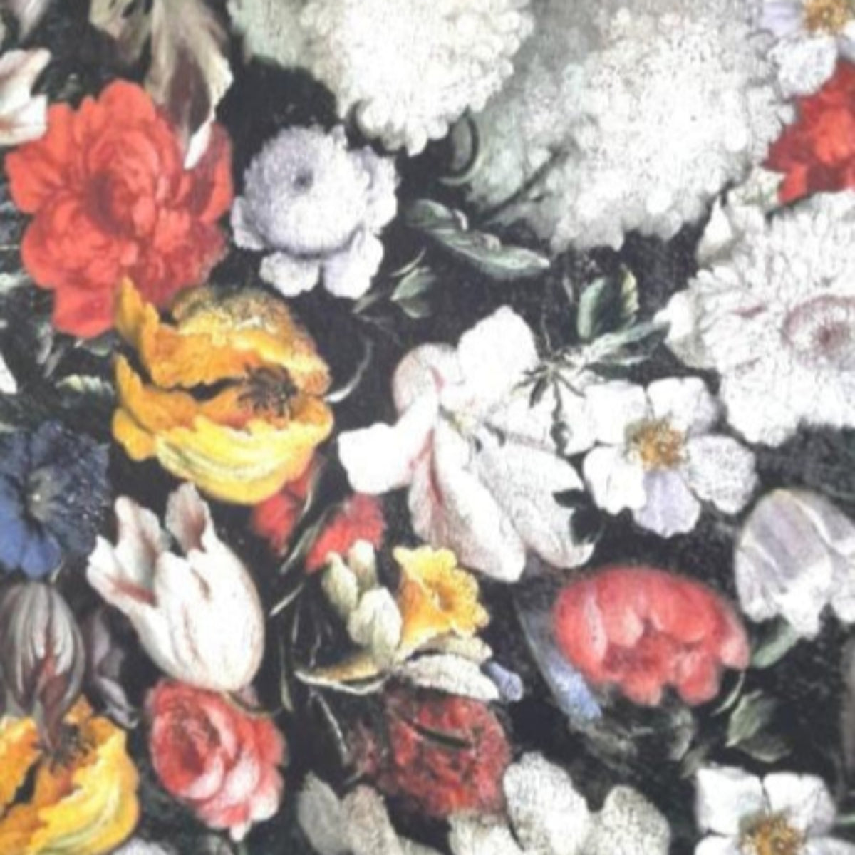 Sugar Textiles PRINTED FABRIC Printed Cotton Mateus Ruby 140 cm (7809446346841)