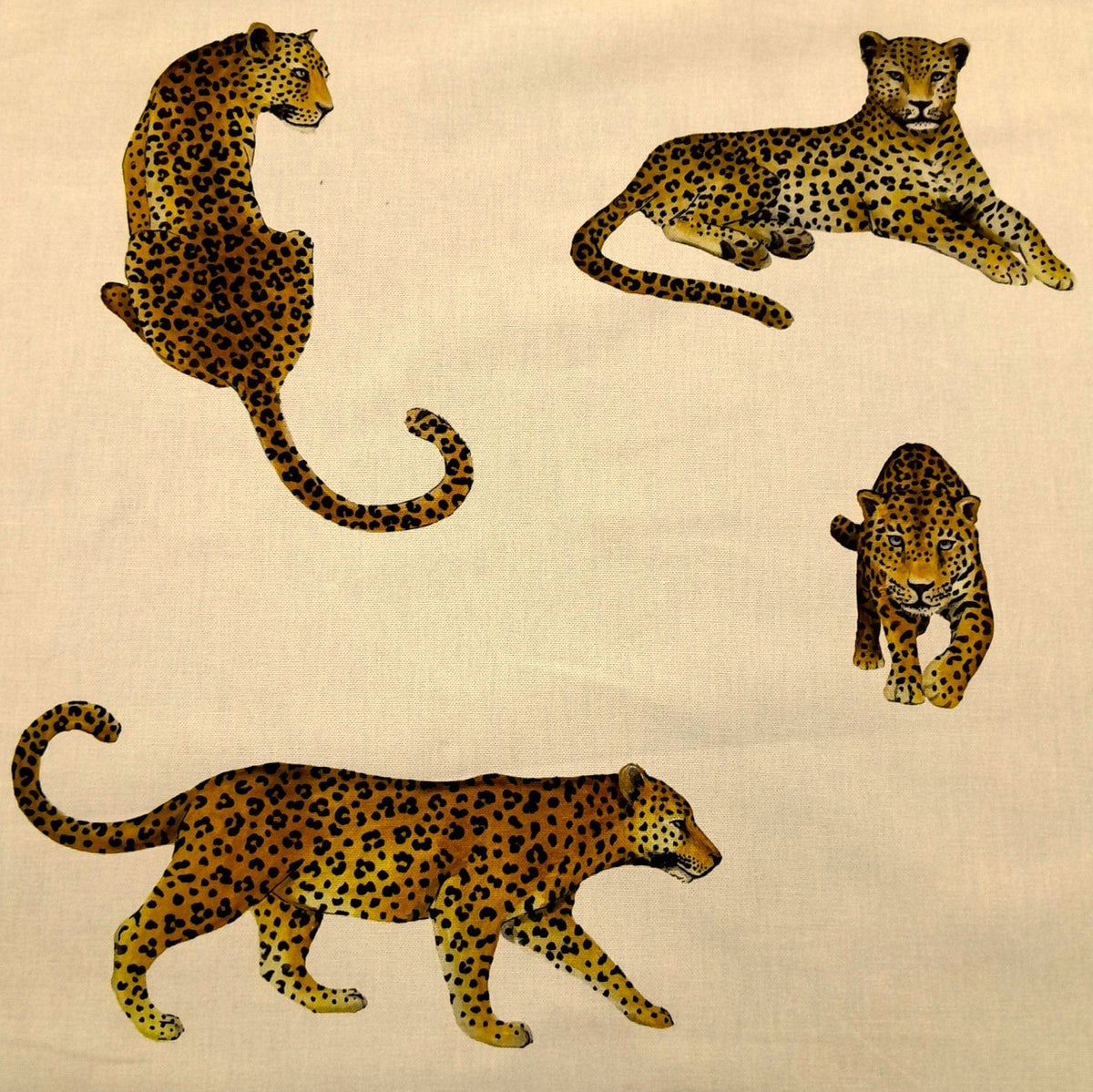 Sugar Textiles Printed Fabric Sand 100% Cotton Printed Fabric Leopard 140cm