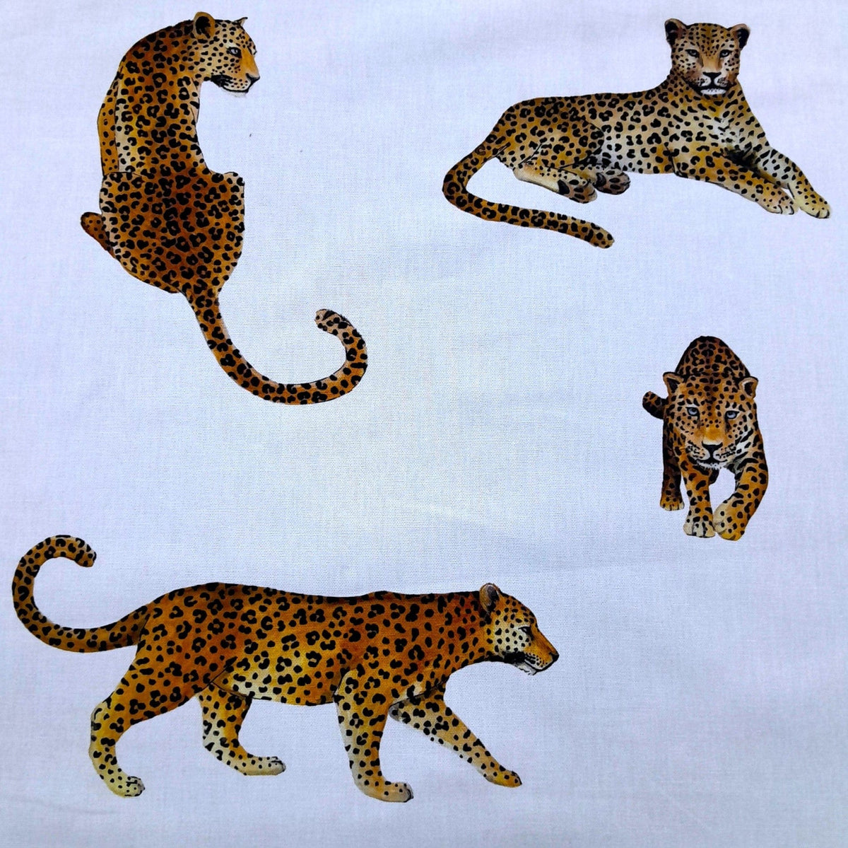 Sugar Textiles Printed Fabric White 100% Cotton Printed Fabric Leopard 140cm