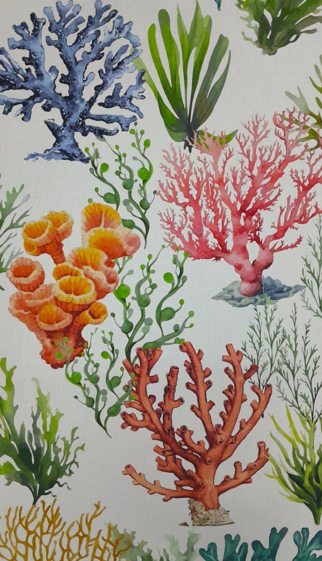 Sugar Textiles PRINTED FABRIC White Fabric Printed Coral / Seaweed 140 cm