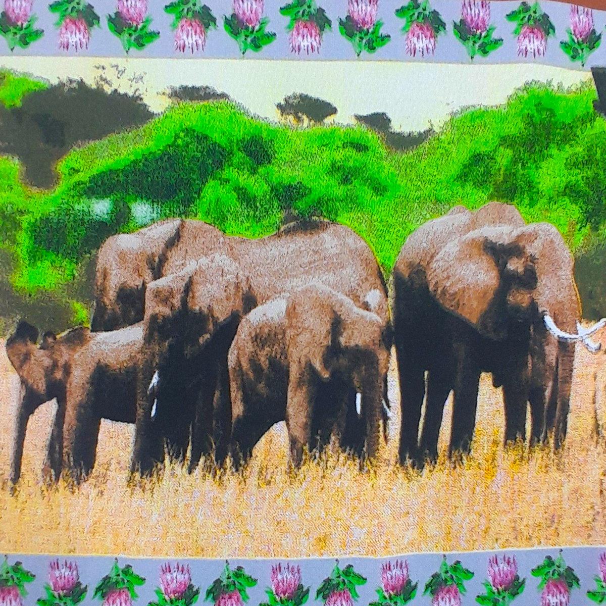Fabric Cotton Canvas Super Seven Animals 280 cm.