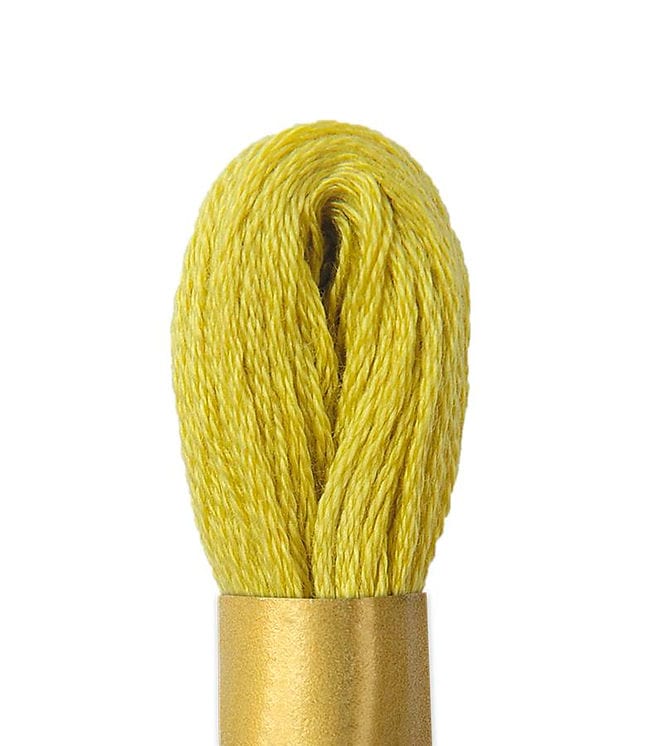 THREADS HABBY C829 Circula Embroidery Skein Thread (7772342222937)